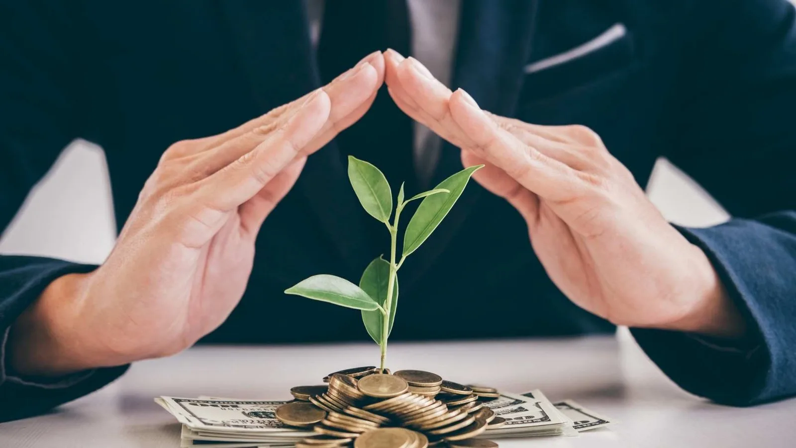 Memahami Yield Artinya dan Panduan untuk Investor Pemula